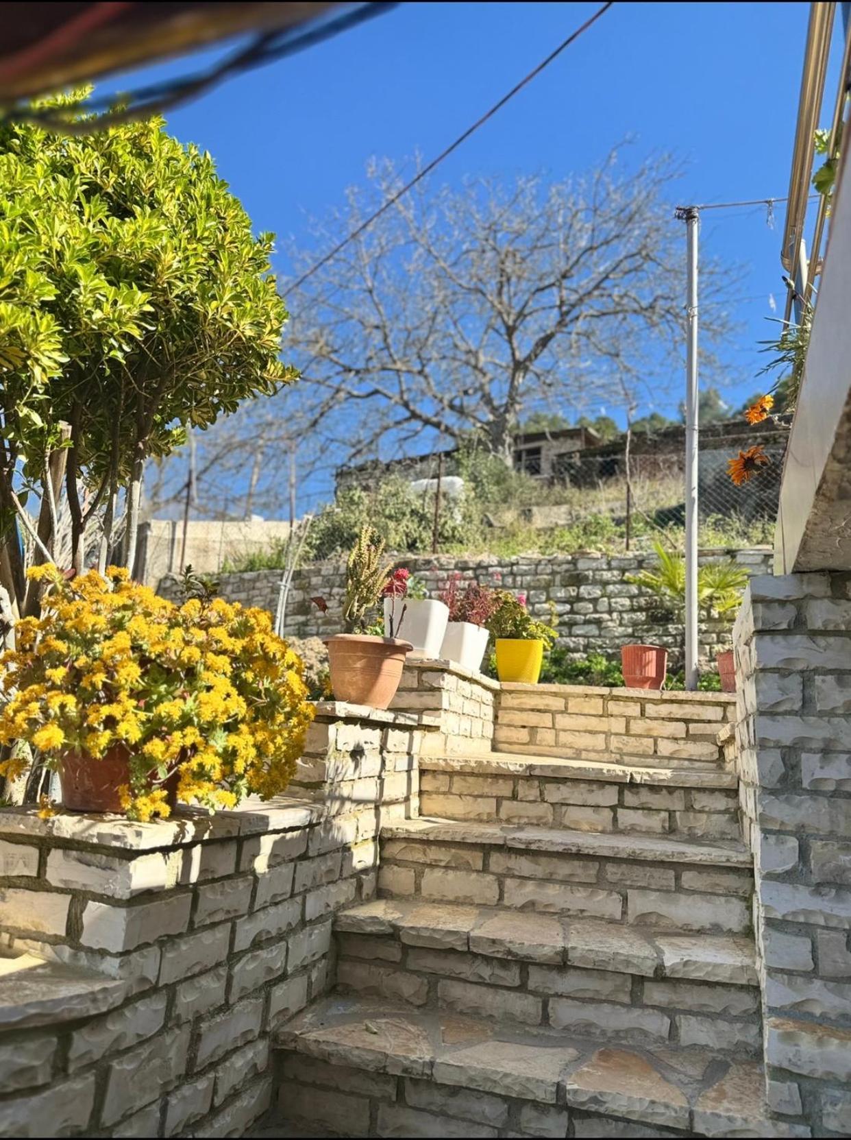 Guesthouse & Hospitality Berat Zewnętrze zdjęcie